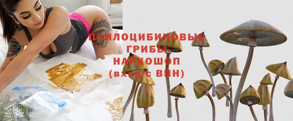 шишки Балабаново