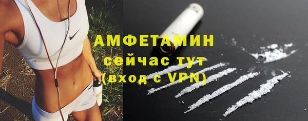 шишки Балабаново