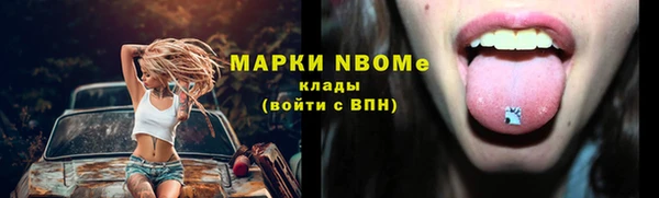 шишки Балабаново