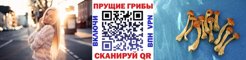 Псилоцибиновые грибы ЛСД  цена наркотик  Протвино 